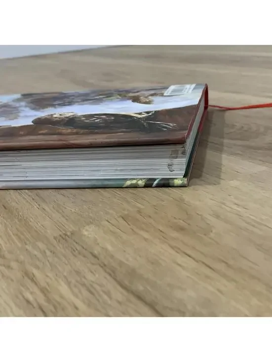 Harry Potter and the Philosopher’s Stone Illustrated Edition Jim Kay... - Picture 7 of 9